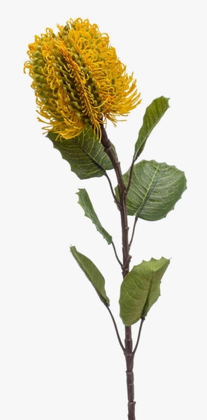 Künstliche Banksia mit gelber Blüte und grünen Blättern.