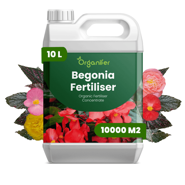 Organifer Logo, Begonien-Dünger, organisches Düngerkonzentrat, 10 Liter für 10000 Quadratmeter.