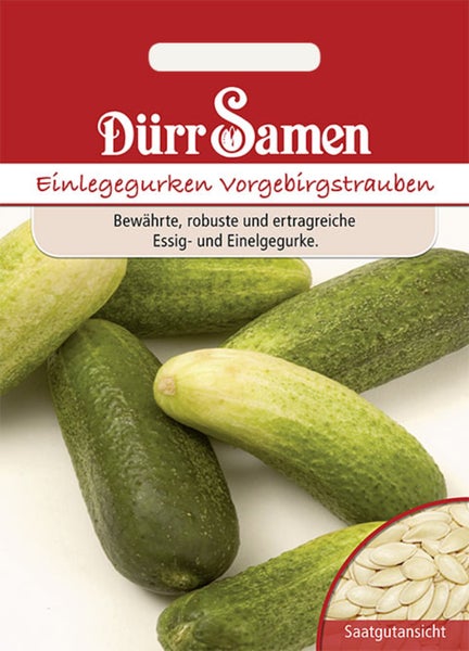 Samenpackung von Dürr Samen für Einlegegurken Vorgebirgstrauben mit einer Abbildung kleiner Gurken und einer Detailansicht der Samen.