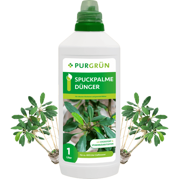 Purgrün Spuckpalme-Dünger 1 Liter