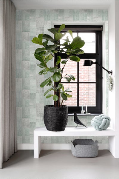 Innenraumszene mit Pflanze, Dekorationen, Fenster und Tapete