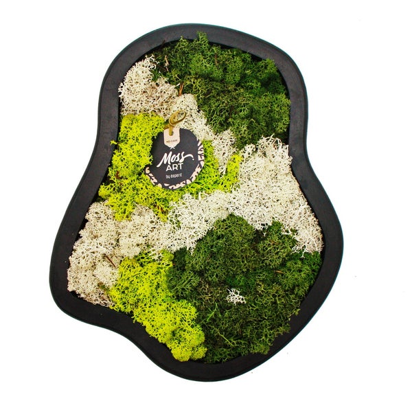 Hebe-Senk-Mechanismus einer Duschkabine mit einem 4 mm Aufstieg beim Öffnen