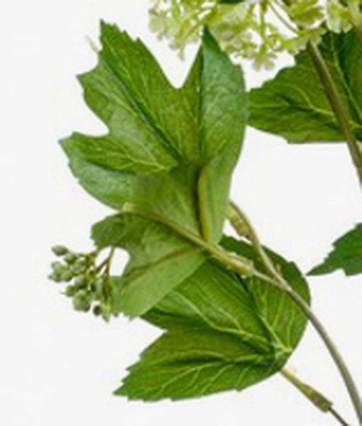 Nahaufnahme einer künstlichen Hängepflanze mit herzförmigen Blättern und silbrig grün gemusterter Oberfläche.