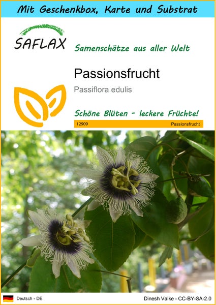 SAFLAX Geschenk Set - Passionsfrucht - Passiflora edulis - 40 Samen - Mit Geschenkbox, Versandaufkleber, Geschenkkarte und Anzuchtsubstrat