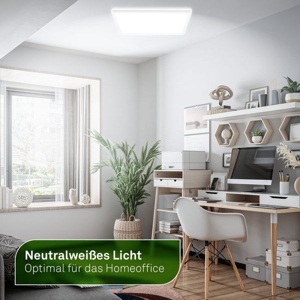 Büroraum mit rechteckiger LED Deckenleuchte für neutralweißes Licht