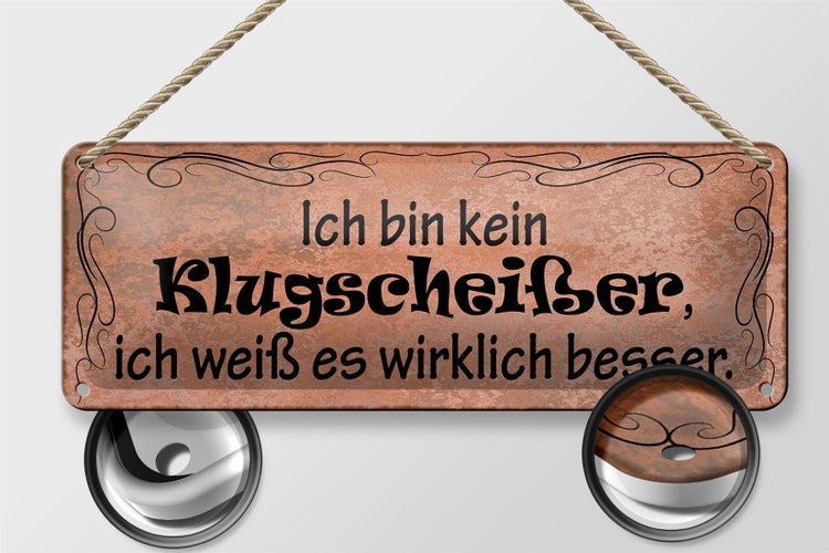 Blechschild Spruch 27x10cm ich weiß es wirklich besser Dekoration