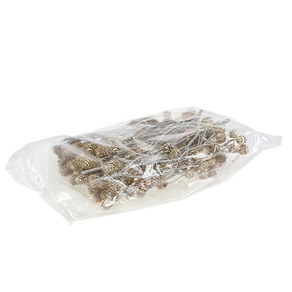 Verpackung mit Zypressenzapfen zur Dekoration