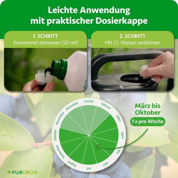 Anwendung von Flüssigdünger: 20 Milliliter abmessen, mit 2 Liter Wasser mischen. Von März bis Oktober einmal wöchentlich anwenden. Purgrün Logo.