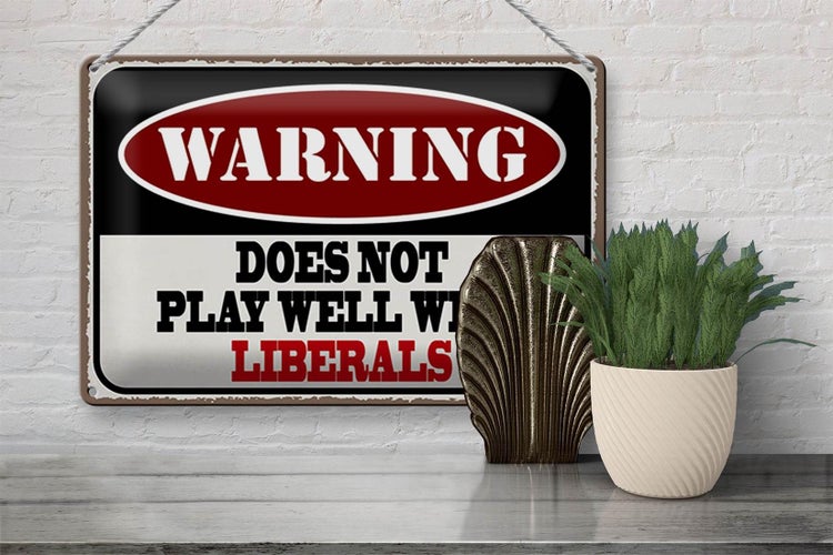 Blechschild Spruch 30x20cm Warning does not play with liberals