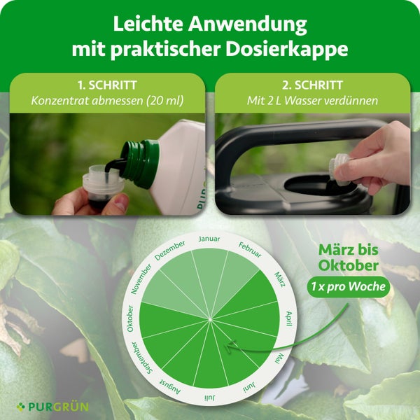 Infografik über Pflanzennährstoffe mit Erklärungen zu Kalium, Phosphor und Stickstoff für Wachstum, Wurzeln und Fruchtqualität. Purgrün Logo.