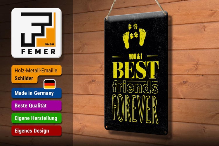 Blechschild Spruch Freunde You I best friends forever 20x30cm
