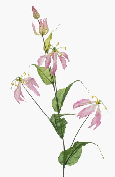 Künstliche Gloriosa Prachtlilie als Zweig mit rosa und weißen gewellten Blütenblättern und gelben Staubgefäßen.
