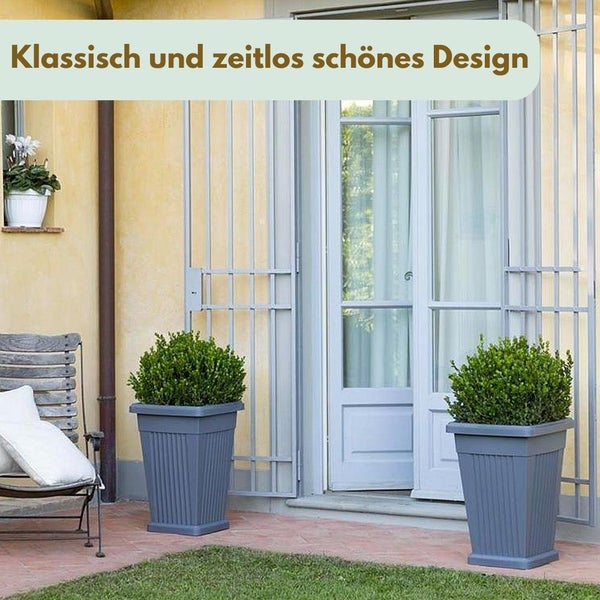Terrasse mit zwei Pflanzkübeln und dekorativen Pflanzen