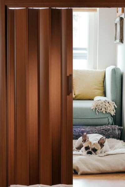 Raumszene mit einer braunen Falttür, die teilweise geöffnet ist, und einem Hund, der auf einem Kissen liegt