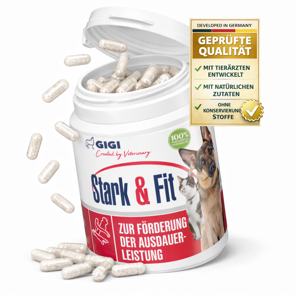 Gigi Stark und Fit Nahrungsergänzung für Hunde und Katzen, Kapseln zur Förderung der Ausdauerleistung, geprüfte Qualität mit natürlichen Zutaten.