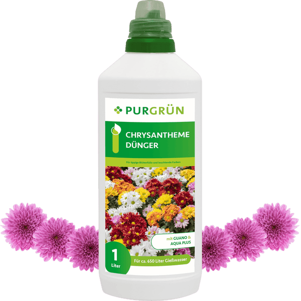 Purgrün Chrysantheme-Dünger 1 Liter