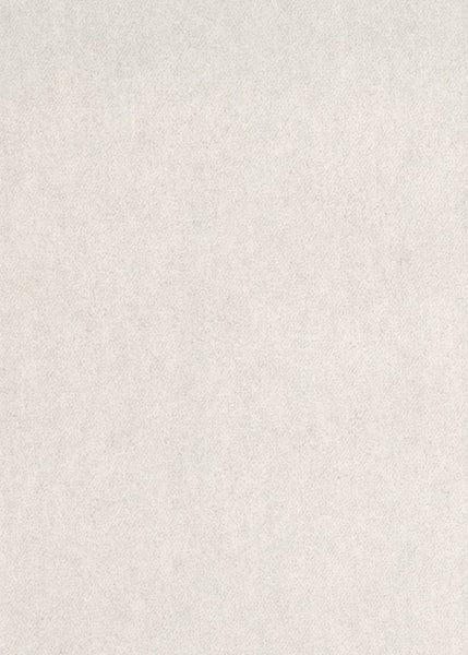 Blechschere schneidet Metall