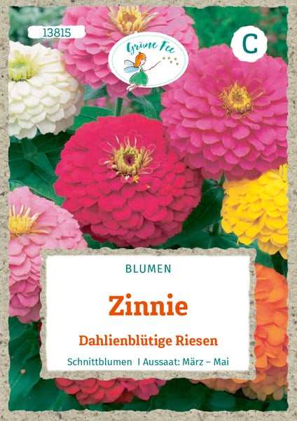 Samentüte für Zinnien Dahlienblütige Riesen mit Grüne Fee Logo, Schnittblumen für die Aussaat von März bis Mai.