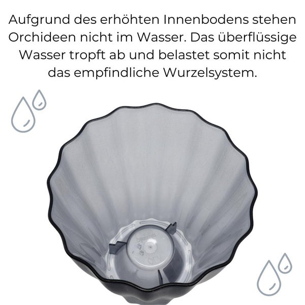 Orchideentopf Blumen Orchideen Übertopf transparent aus Kunststoff durchsichtig Elegant OLA Ø 16 cm glas