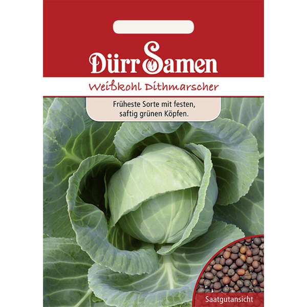 Weißkohl Dithmarscher Saatgut von Dürr Samen