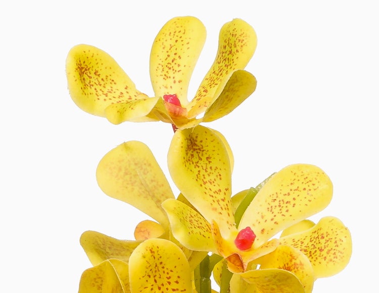Künstliche Orchidee in Gelb mit orangefarbenen Punkten an einem grünen Stängel.