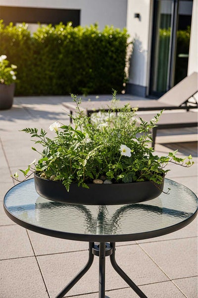 Flache, runde schwarze Pflanzschale mit grünen Pflanzen und weißen Blüten auf einem Glastisch auf einer Terrasse.