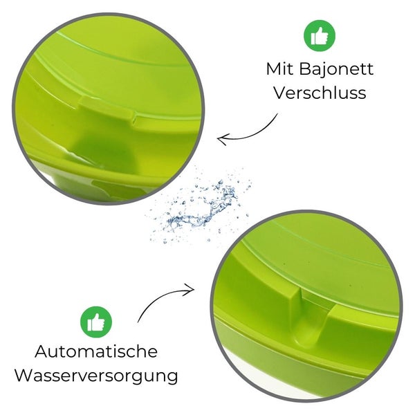 Geflügeltränke und Futterautomat Hühner mit Standfüßen im Set Hühnertränke Futterspender Futtertrog Stand Füßen Wassertränke grün Set 3.