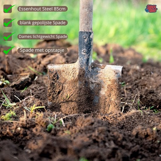 Gartenszene mit einem Spaten aus Stahl mit Trittkante und Holzgriff, der in die Erde gesteckt wurde