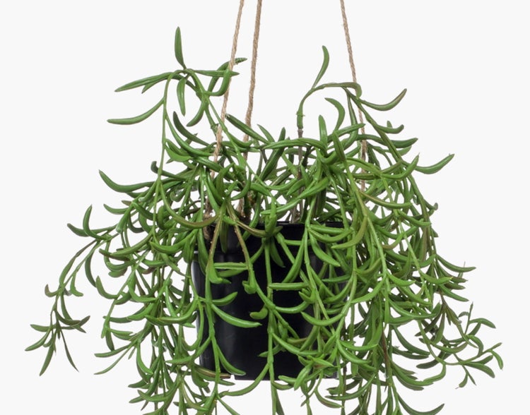 Künstliches Gras in einem dunklen, runden Kunststofftopf.