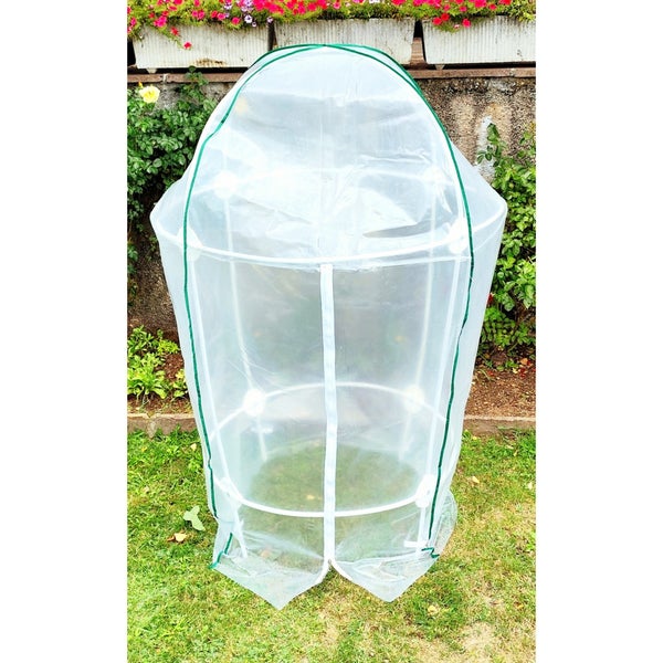 Gewächshaus für Pflanzen im Garten