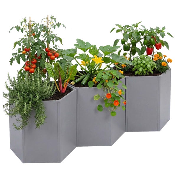 Modulares Hochbeet-System aus drei sechseckigen grauen Elementen, bepflanzt mit Tomaten, Zucchini, Paprika, Kräutern und Blumen.