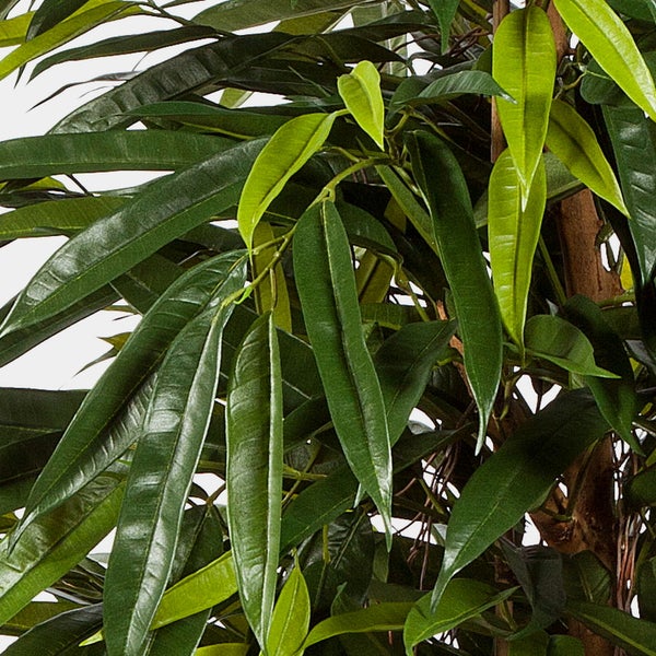 Künstliche Pflanze mit langen schmalen grünen Blättern an einem braunen Stamm.