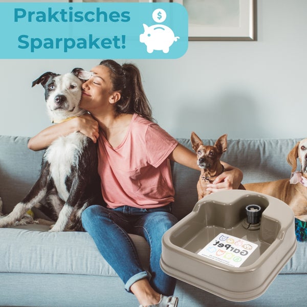 Frau umarmt einen Hund auf dem Sofa neben einem Trinkbrunnen für Haustiere