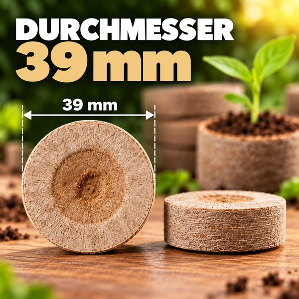 Quelltablette für Anzucht mit einem Durchmesser von 39 Millimetern auf Holzuntergrund mit kleiner Pflanze