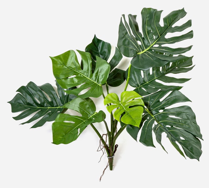 Künstliche Monstera Pflanze mit grünen Blättern und Luftwurzeln.