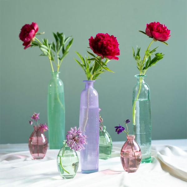 Arrangement aus verschiedenen Glasvasen in unterschiedlichen Formen und Größen, bestückt mit einzelnen Blumen wie Pfingstrosen und Allium.