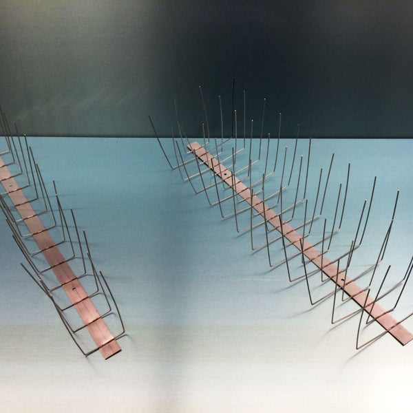 Gartenbank aus Polyrattan mit schwarzen Kissen für zwei Personen