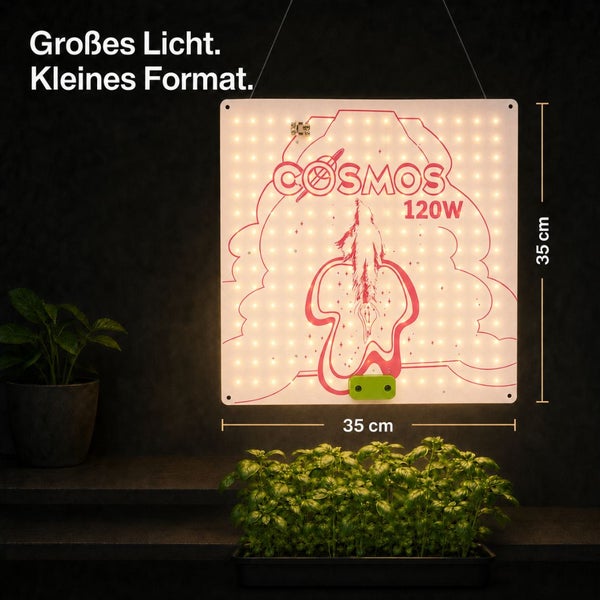 Quadratische LED-Pflanzenlampe Cosmos 120 Watt, Abmessungen 35 Zentimeter mal 35 Zentimeter, über einer Basilikumpflanze hängend.