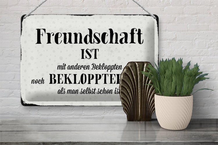 Blechschild Spruch 30x20cm Freundschaft ist mit anderen