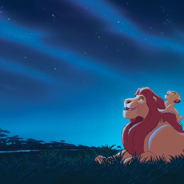 Illustration von Löwen unter einem Sternenhimmel