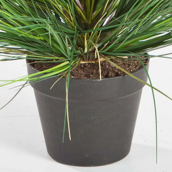 Künstliche Graspflanze in schwarzem Kunststofftopf mit sichtbarer Erde.