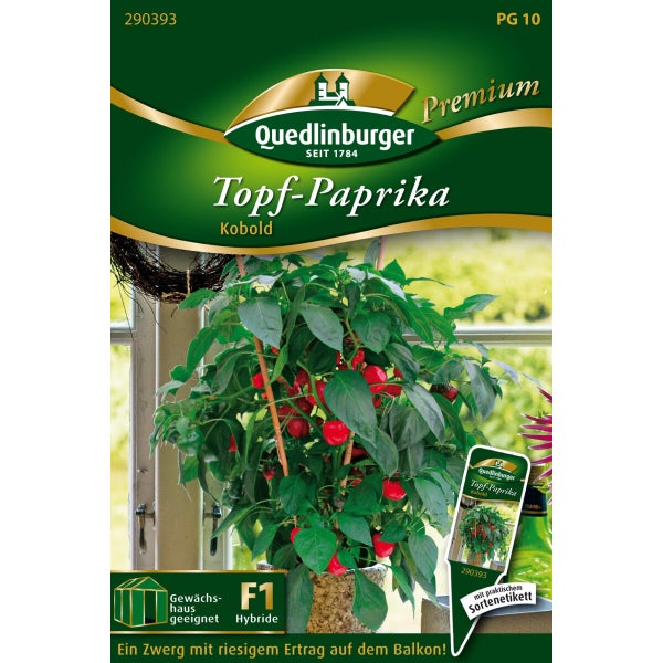 Topf-Paprika rot Kobold Samen von Quedlinburger SAATGUT