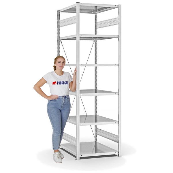 PROREGAL Fachbodenregal Stecksystem T-Profil Light-Duty Grundregal HxBxT 250 x 75 x 80 cm 6 Ebenen Fachlast 130 kg Einseitig Nutzbar Lichtgrau
