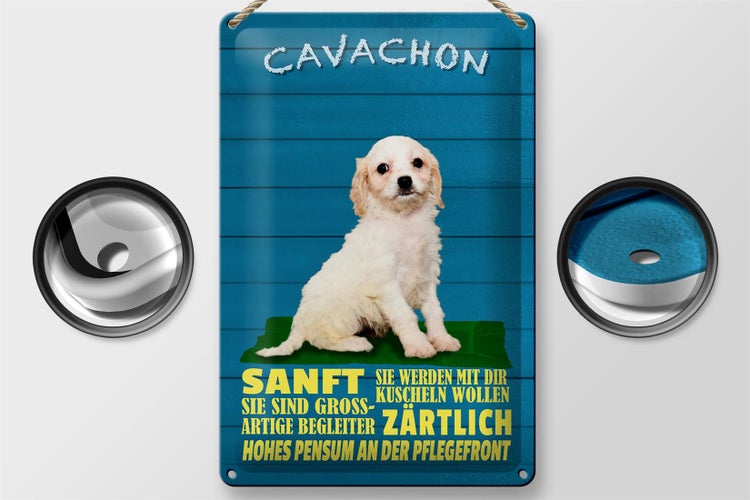 Blechschild Spruch 20x30cm Cavachon Hund sanft zärtlich