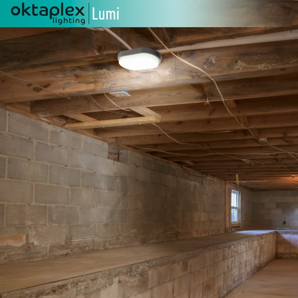 LED Kellerlampe Oval Lumi warmweiß 3000K IP54 10W 800Lm für Keller Wände und Decken anthrazit