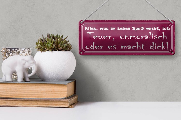 Blechschild Spruch 27x10cm alles was Spaß teuer unmoralisch Dekoration