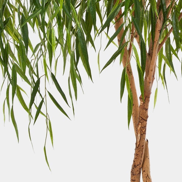 Detailaufnahme eines weißen Calla-Blütenblatts mit spitzem Ende und feiner Struktur.