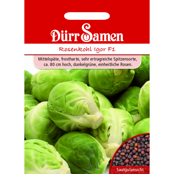 Rosenkohl Igor F1 Saatgut von Dürr Samen
