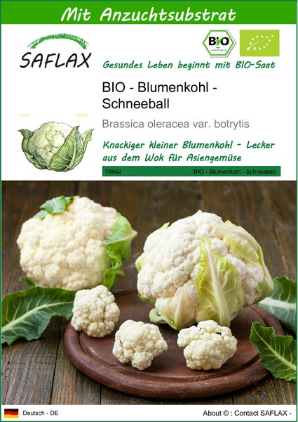 SAFLAX  - BIO - Blumenkohl - Schneeball - Brassica oleracea var. botrytis - 70 Samen - Mit keimfreiem Anzuchtsubstrat