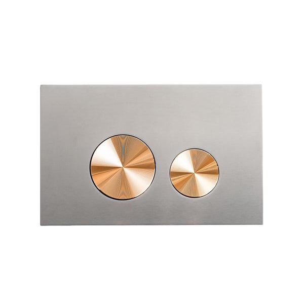 Rechteckige Betätigungsplatte aus Metall für WC mit Zwei-Mengen-Spülung und zwei runden Drucktasten.